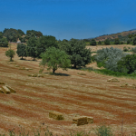 campagna di mamoiada