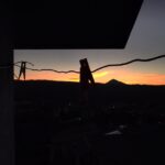 gonare sunset 7