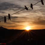 gonare-sunset-mollette