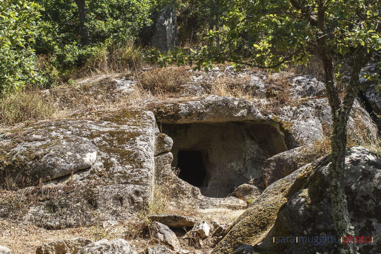 Necropoli-di-Istevene