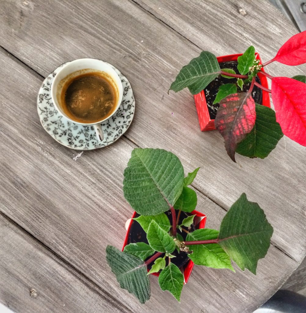 caffè in mendula a su nistru