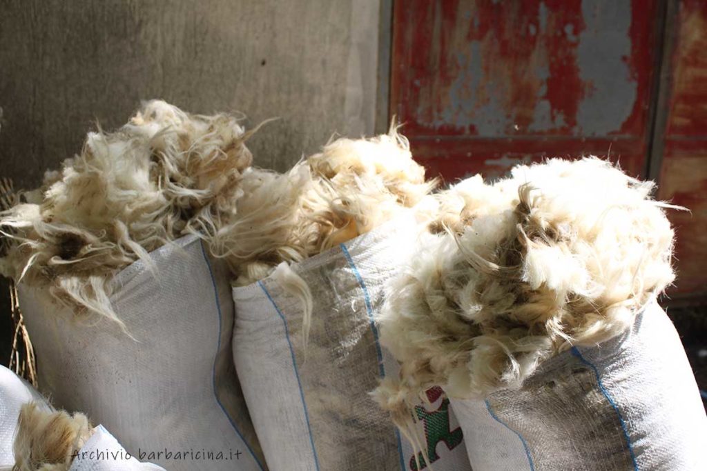sacchi di lana appena tosata a Mamoiada